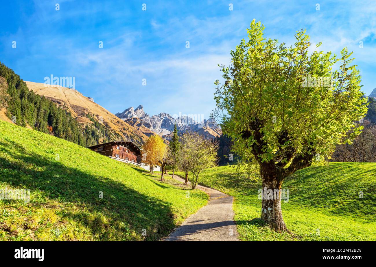 Sonniger Herbsttag in den Bergen. Blick vom idyllischen Einödsbach bis zu den Allgäu-Hochalpen mit Trettachspitze, Mädelegabel und Hochfrottspitze. Bayern, Deutschland, Europa Stockfoto