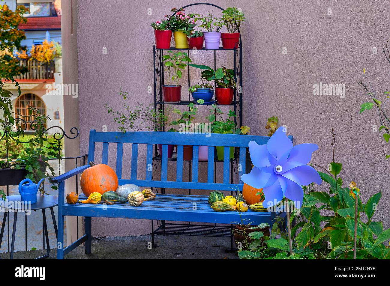 Hinterhof mit Blumendekoration, blaue Bank und ZierpumpinsKempten, Allgäu, Bayern, Deutschland, Europa Stockfoto