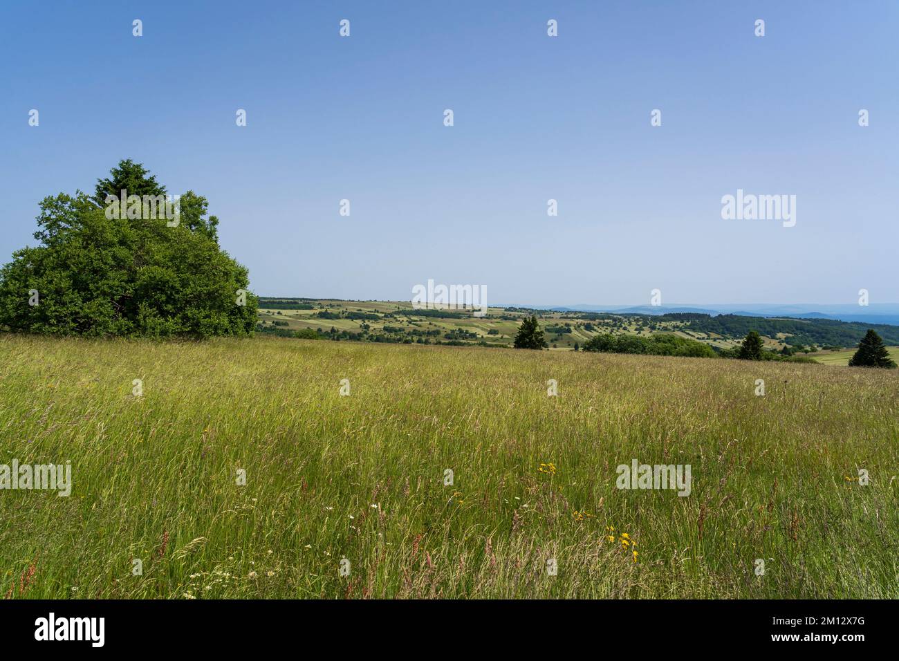 Naturschutzgebiet lange Rhön im Kerngebiet des Biosphärenreservats Rhön, Bayerischer Rhön, Kreis Rhön-Grabfeld, Niederfrankreich, Bayern, Deutschland. Stockfoto