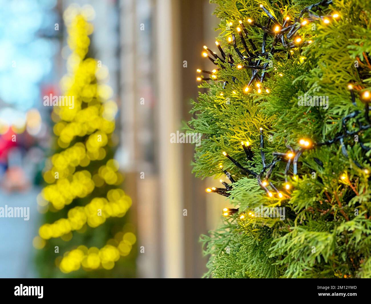 Lichterketten beleuchten Zweige als Weihnachtsdekoration vor einem Laden, Nahaufnahme Stockfoto