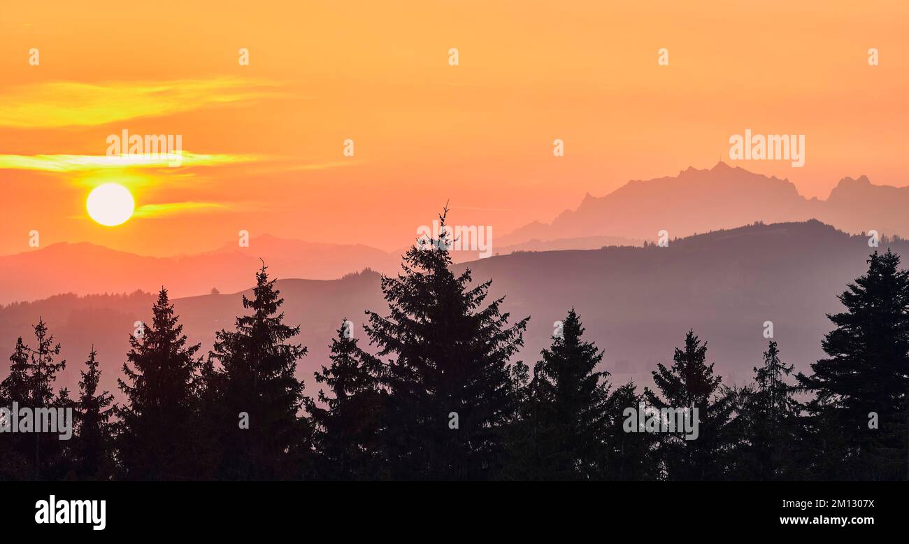 Blick auf Säntis und Alpstein bei Sonnenaufgang, Gottschalkenberg, Kanton Zug, Schweiz, Europa Stockfoto