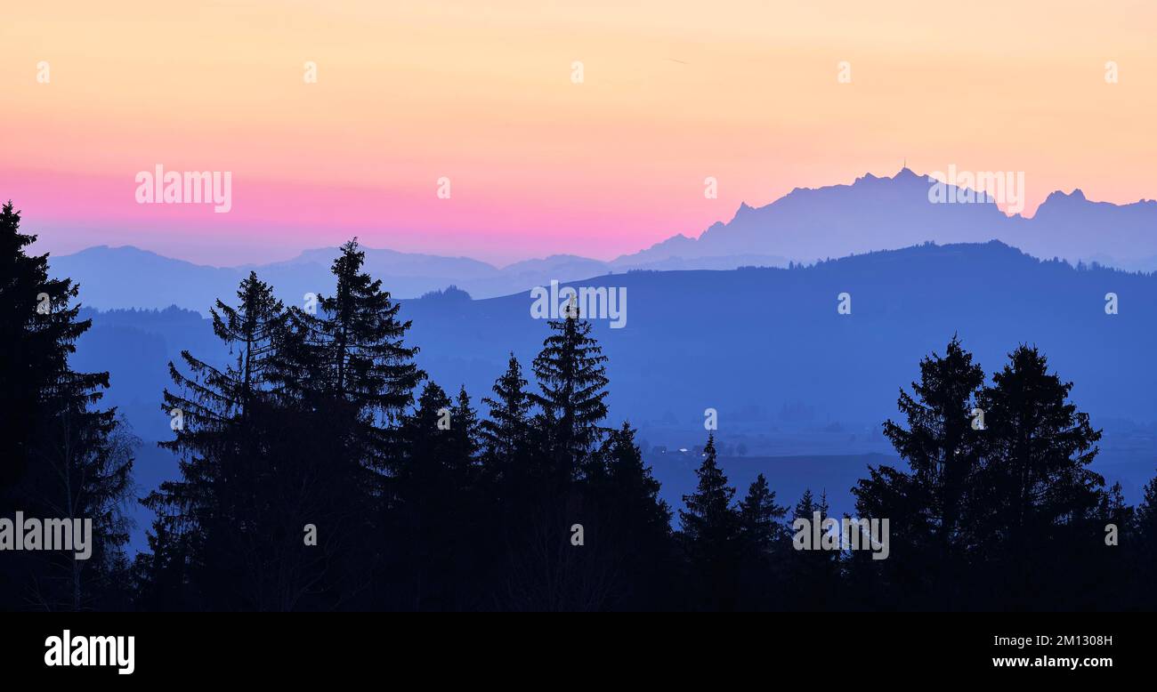 Blick auf Säntis und Alpstein bei Sonnenaufgang, Gottschalkenberg, Kanton Zug, Schweiz, Europa Stockfoto