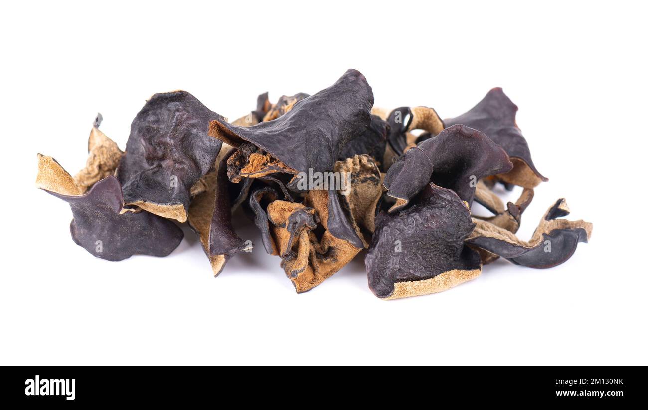 Trockener schwarzer Pilz, isoliert auf weißem Hintergrund. Chinesischer schwarzer Pilz oder Baum schwarzer Muer Pilz. Auricularia polytricha Stockfoto