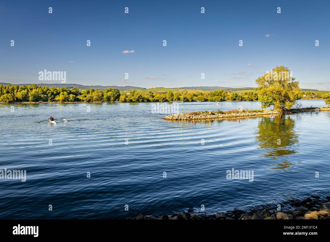 Rhein in der Nähe von Heidenfahrt/Rheinhessen, örtliche Erholungsangebote mit Wassersport, Schwimmen, Bootstouren und Entspannung, Stockfoto