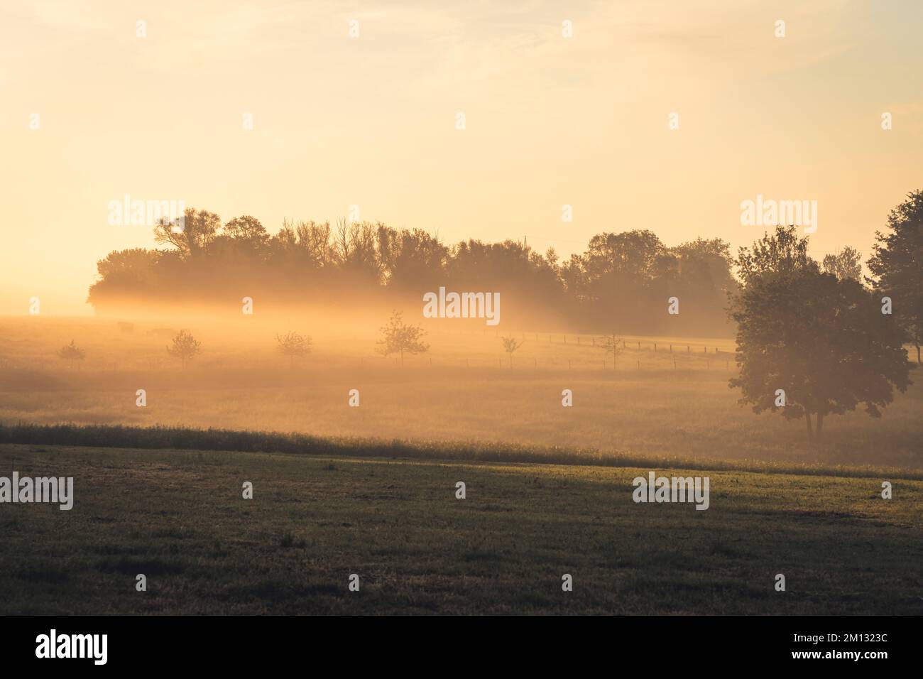 Sonnenaufgang mit Bodennebel auf einem Feld im Stadtteil Kassel, beleuchtet, Wiese mit einzelnen Bäumen und Nebelwolken Stockfoto