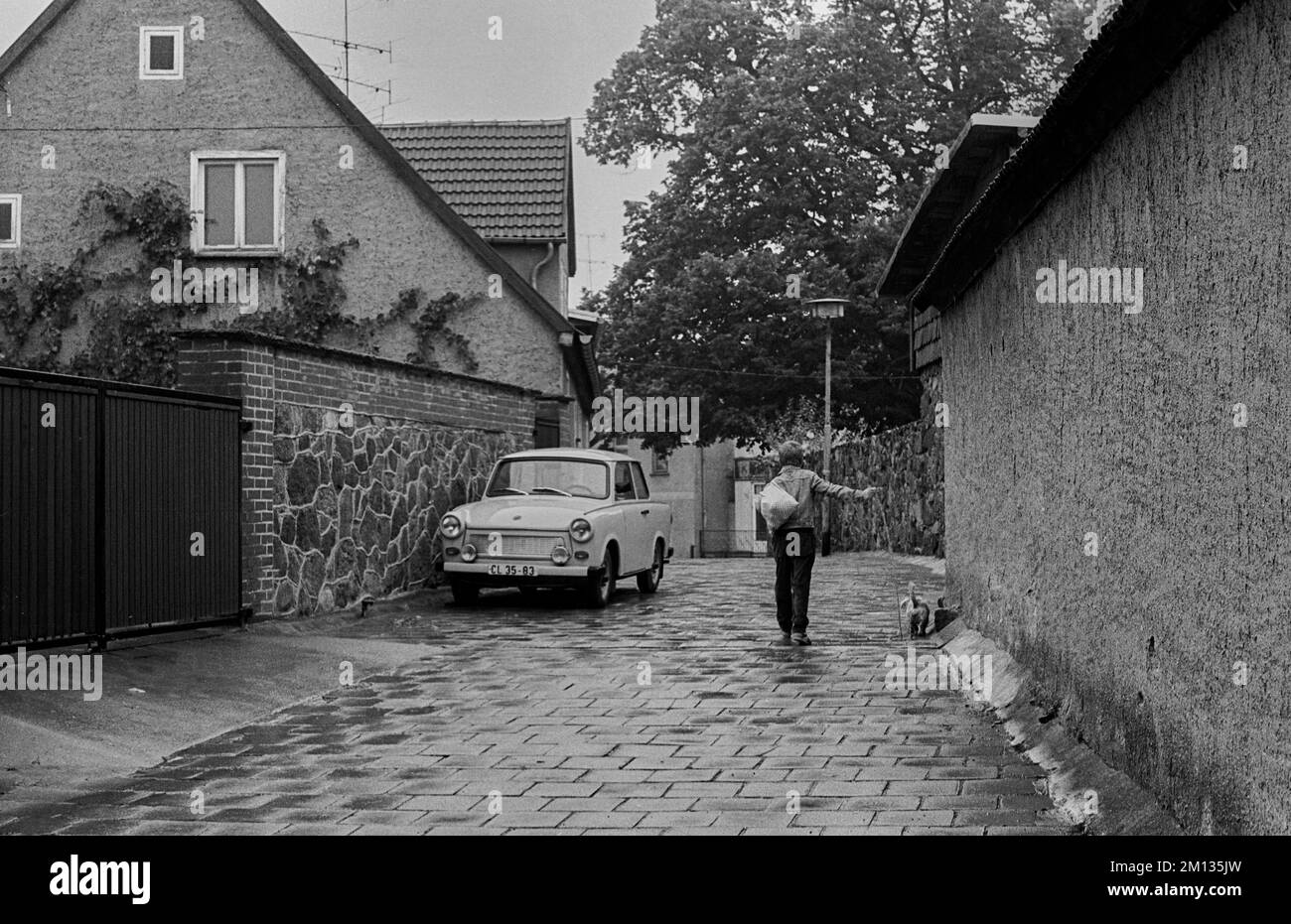 DDR, Feldberg, 15.09.1989, Straßenszene in Feldberg, Trabi und Junge mit Hund Stockfoto