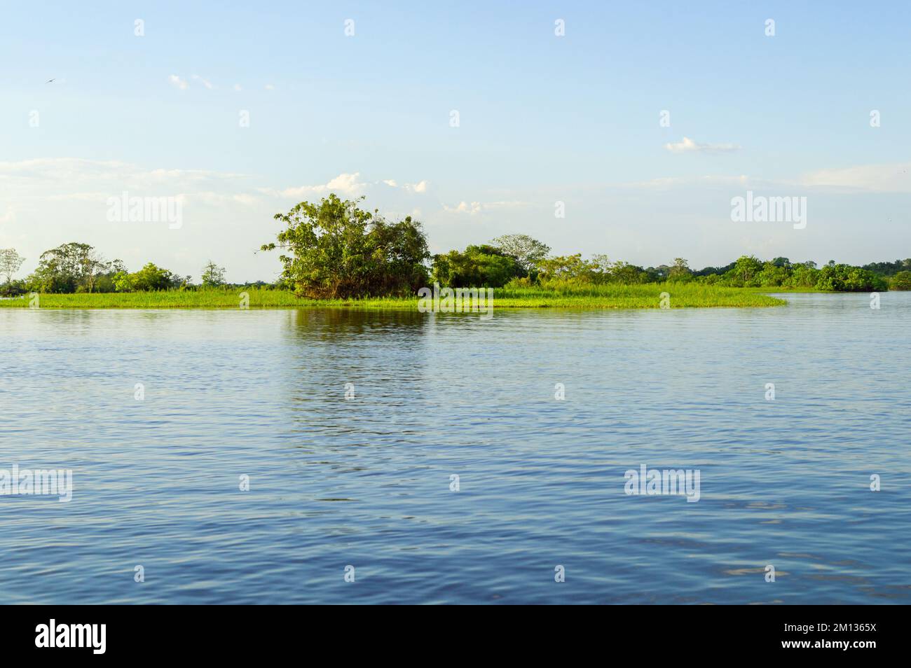 Atemberaubende Wasserlandschaft des Amazonas-Flusses inmitten des Regenwaldes während eines Kanufahrts Stockfoto