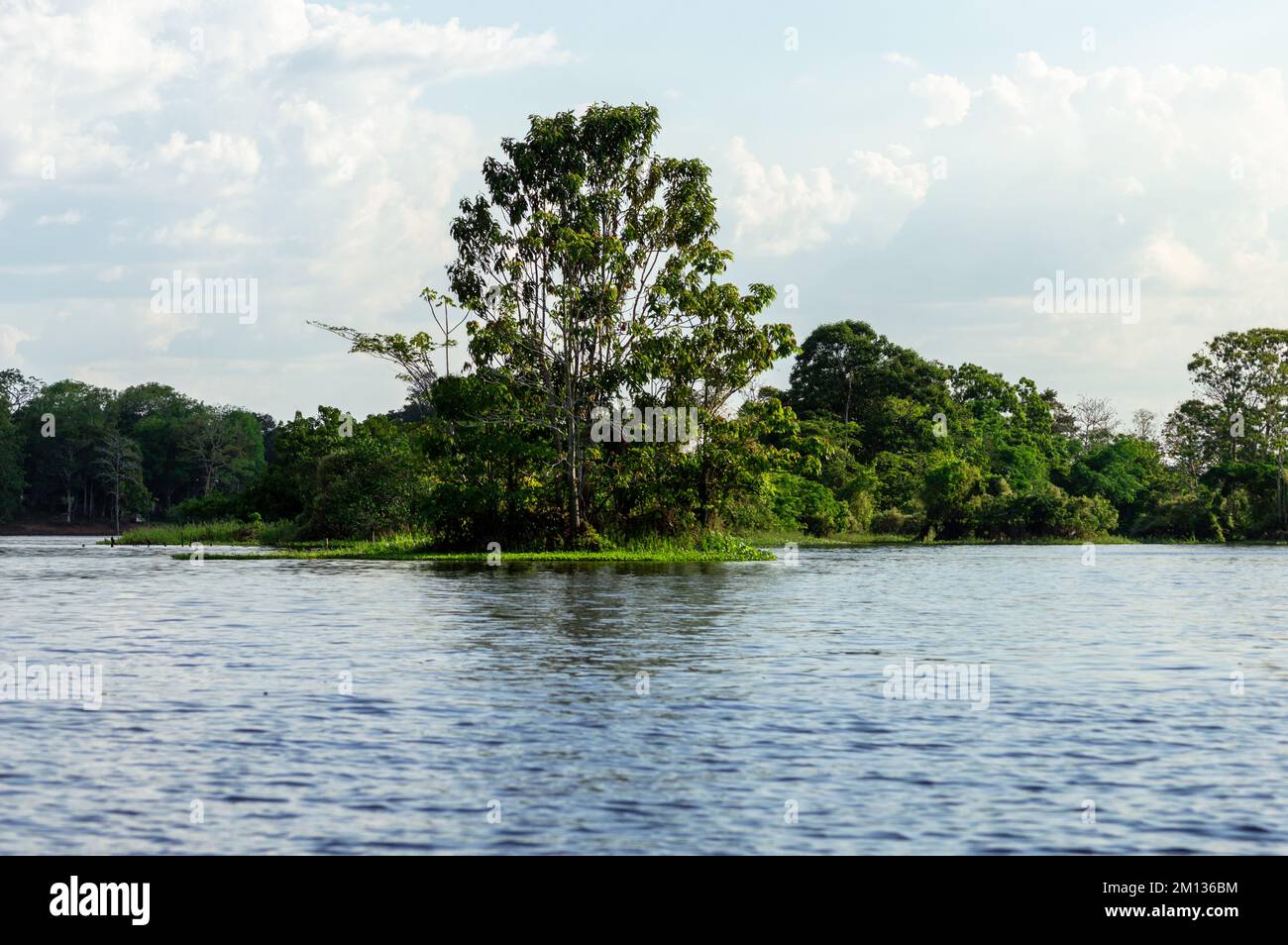 Atemberaubende Wasserlandschaft des Amazonas-Flusses inmitten des Regenwaldes während eines Kanufahrts Stockfoto