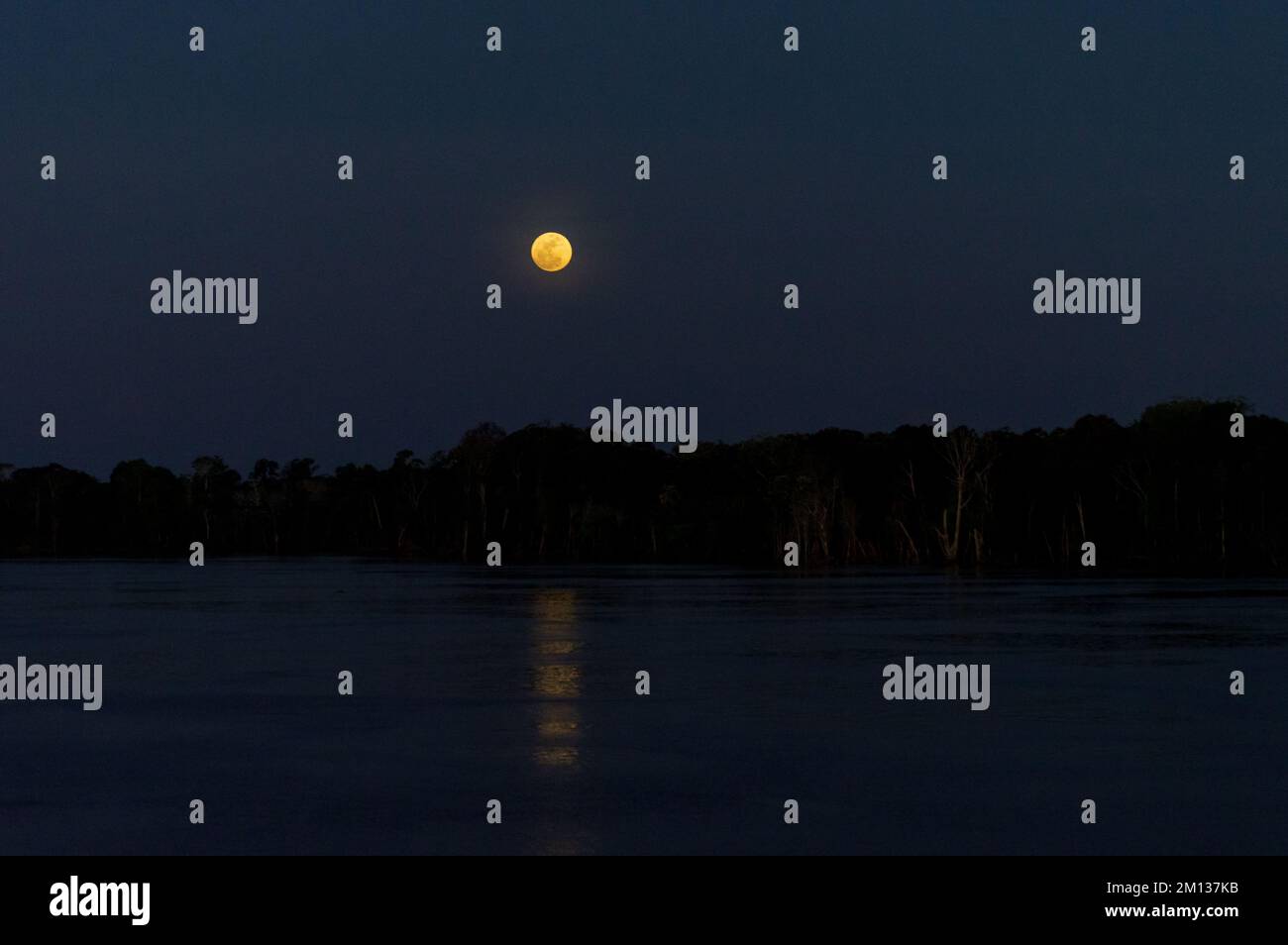 Vollmondnacht im Amazonas-Wald am Amazonas-Fluss Stockfoto