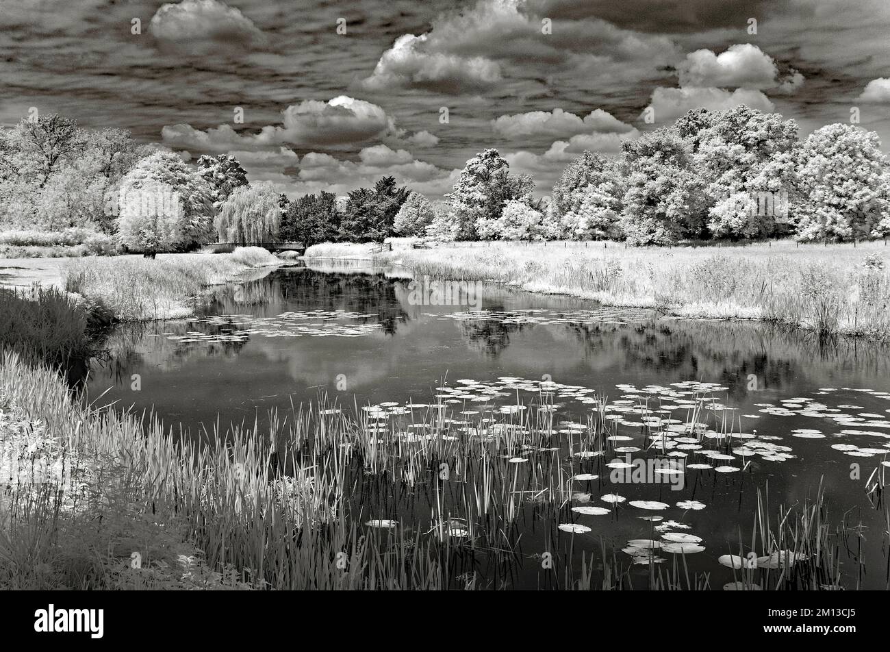 Feine Kunst Schwarzweißfoto des Flusses, der im Sommer auf der Cannock Chase AONB Area von herausragender natürlicher Schönheit durch die Shugborough Wiesen sät Stockfoto