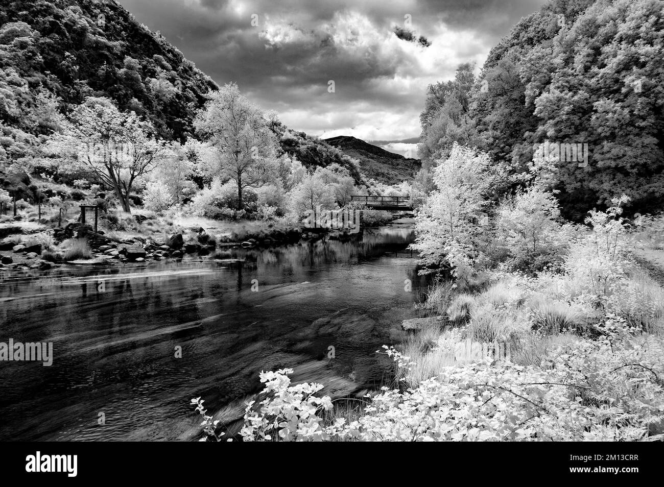 Abfluss von Llyn Dinas Lake Nantgwynant Valley Snowdonia National Park Gwynedd North Wales UK, Spätwüstling. Stockfoto