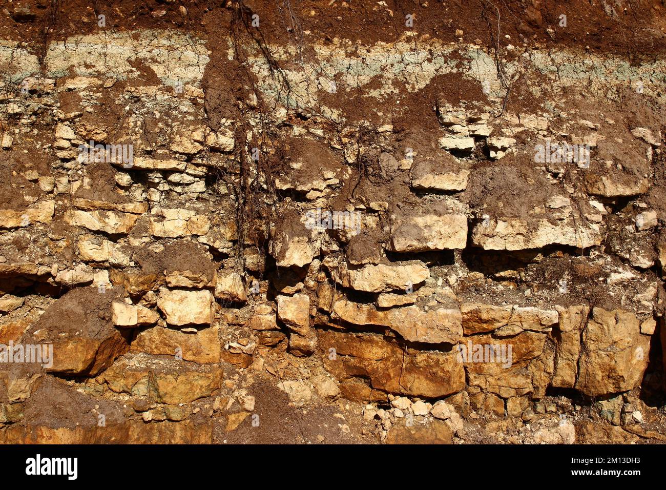 Ablagerung von Kalksteinschichten auf die Tagesoberfläche. Sedimentfelsen aus der Karboniferzeit, Region Kaluzhskiy, Russland Stockfoto