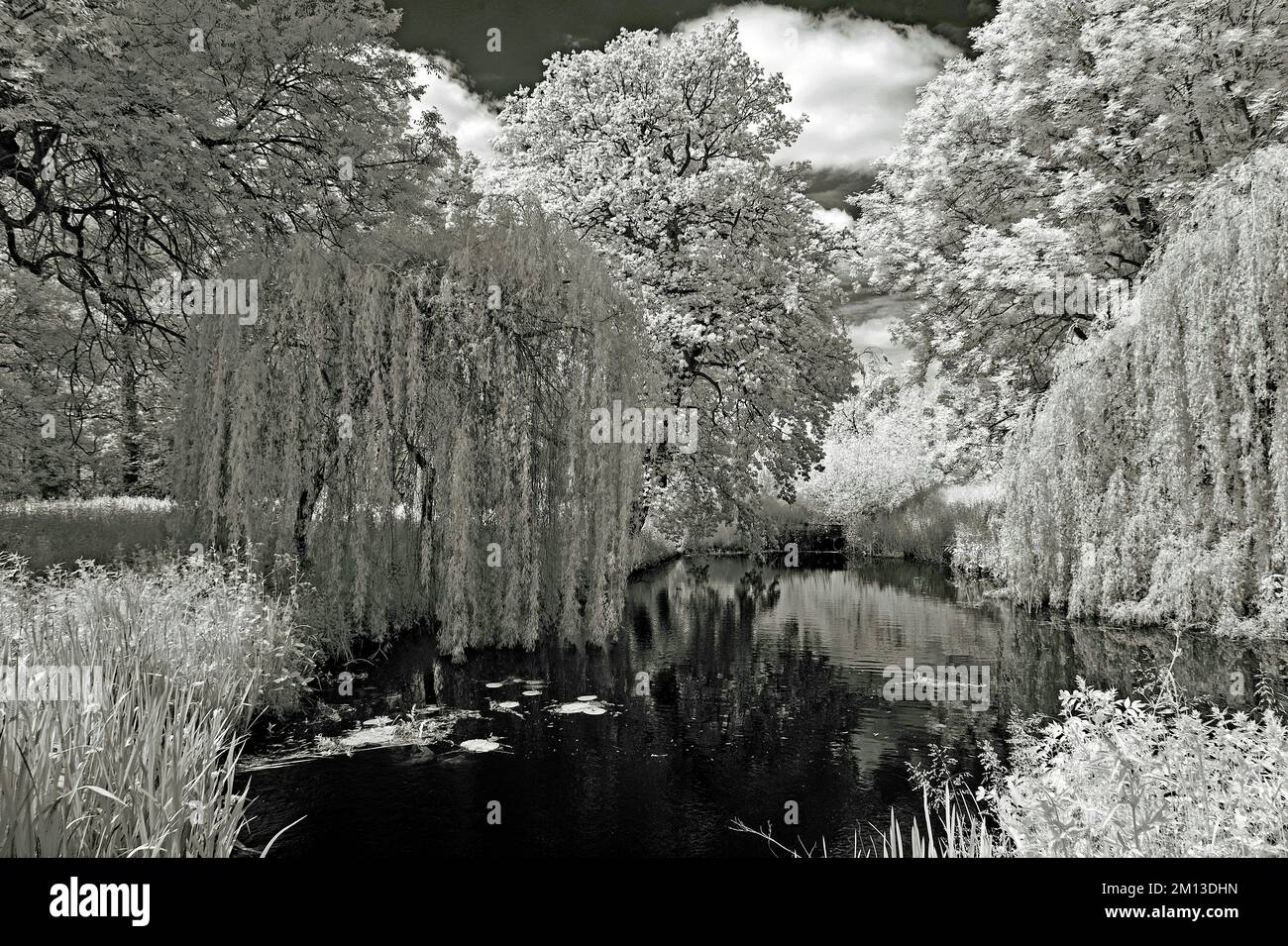 Feine Kunst Schwarz-Weiß-Fotografie des Flusses, der im Sommer durch die Shugborough Wiesen auf Cannock Chase AONB Gebiet von herausragender natürlicher Schönheit sät Stockfoto