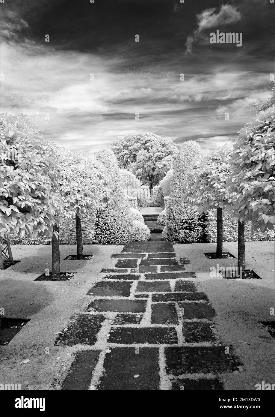 Infrarotfoto eines klassischen englischen Gartens, Weg durch den Rasen. Bäume auf beiden Seiten am Wollerton Old Hall (NGS) Market Drayton in Shrops Stockfoto