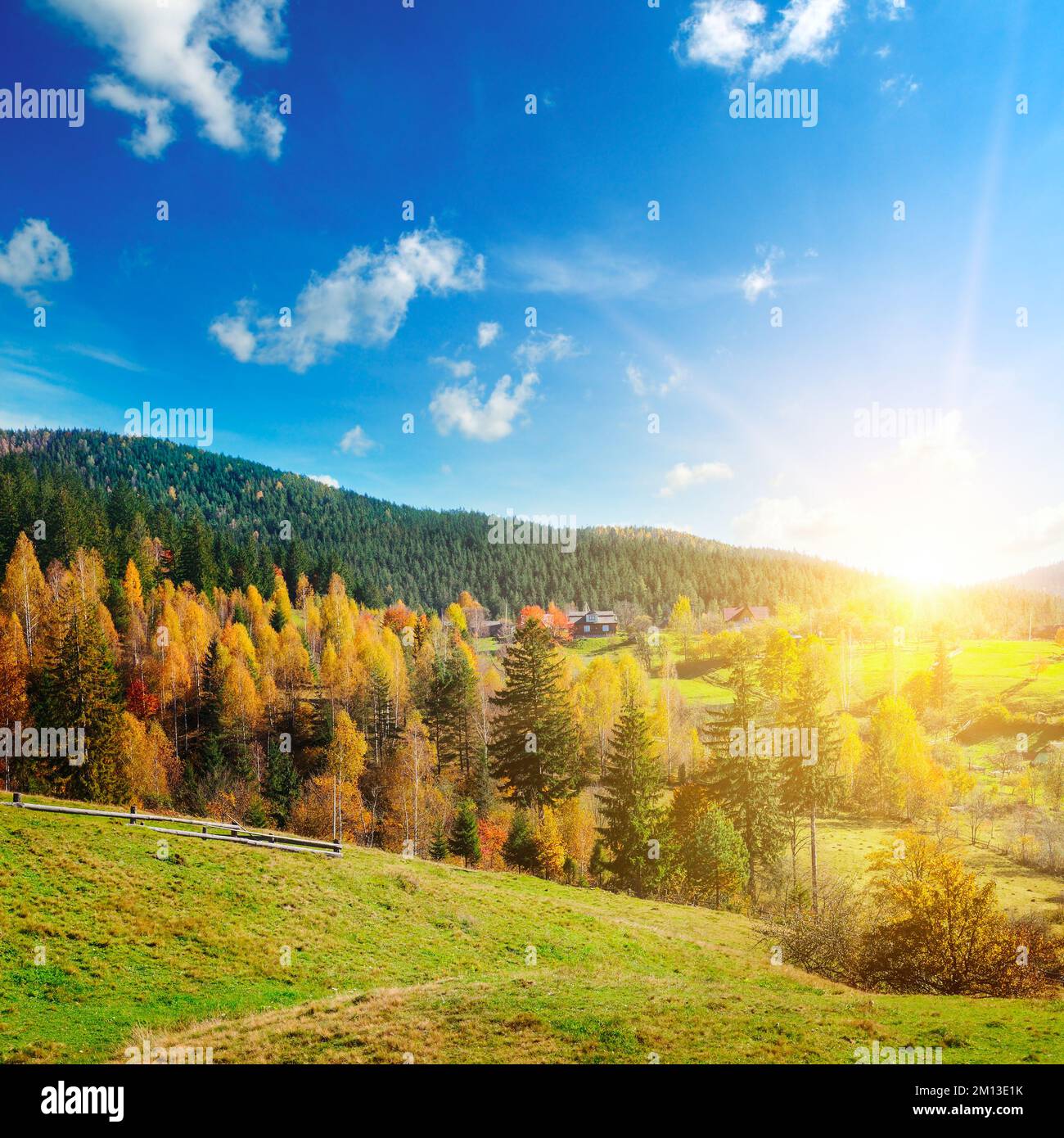 Majestätischer, particolorierter Wald mit sonnigen Balken. Naturpark. Dramatische ungewöhnliche Szene. Rote und gelbe Herbstblätter. Karpaten, Ukraine, Europa Stockfoto