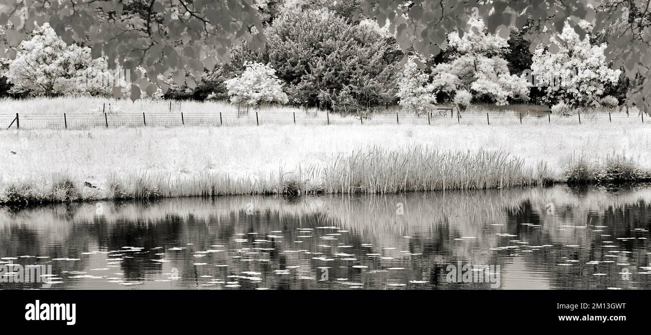 Feine Kunst Schwarzweißfoto des Flusses, der im Sommer auf der Cannock Chase AONB Area von herausragender natürlicher Schönheit durch die Shugborough Wiesen sät Stockfoto