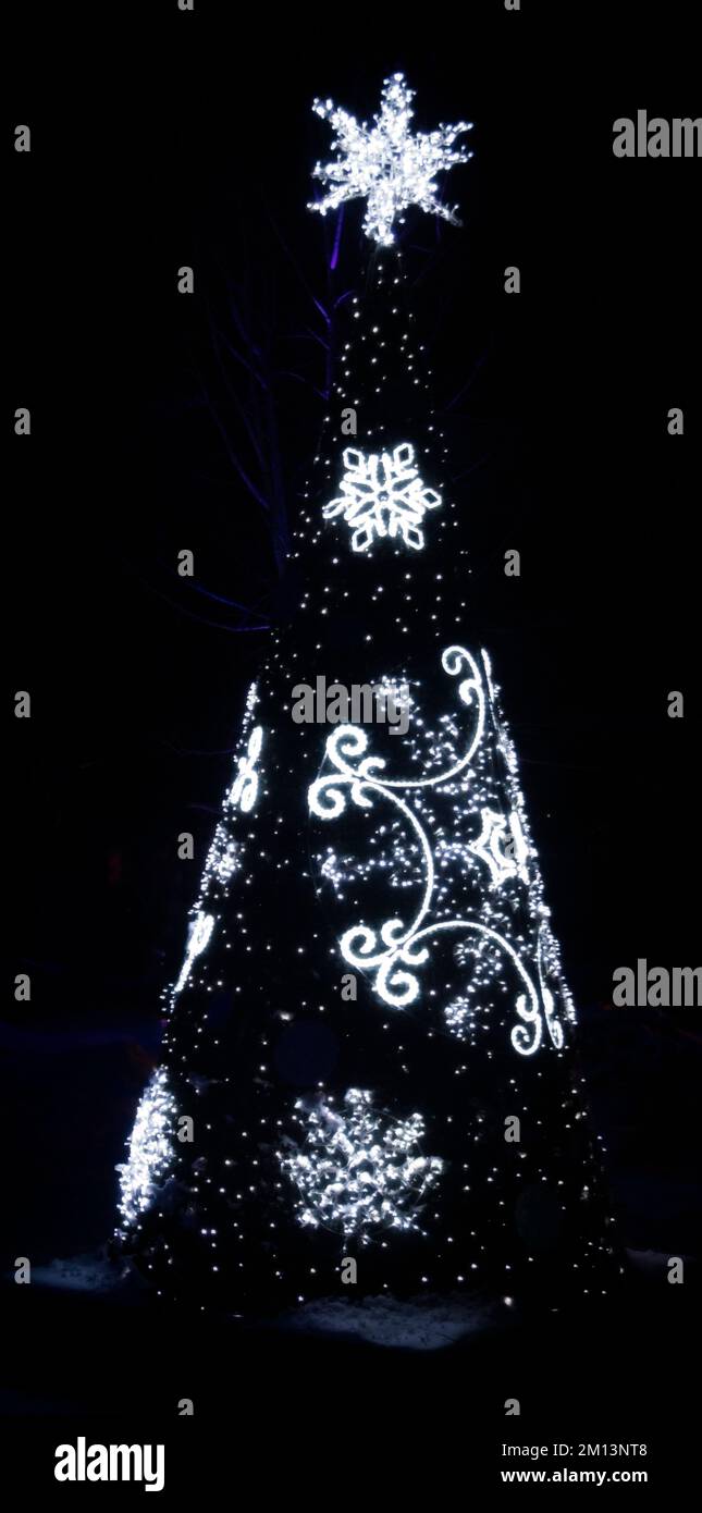Weihnachtsbaum Calgary Zoolights Alberta Stockfoto