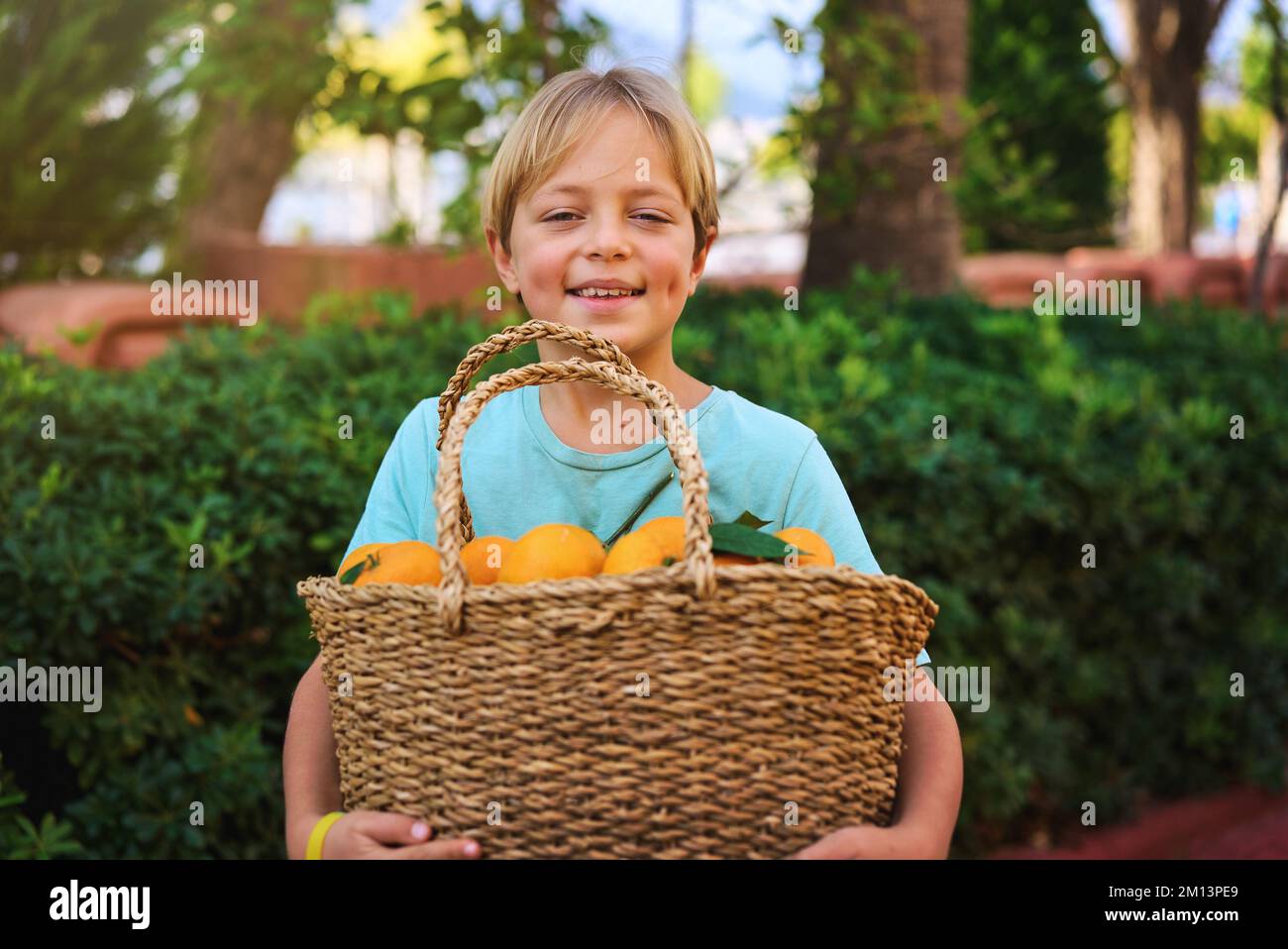 Süßer Weidenkorb mit frischen Orangenfrüchten Stockfoto