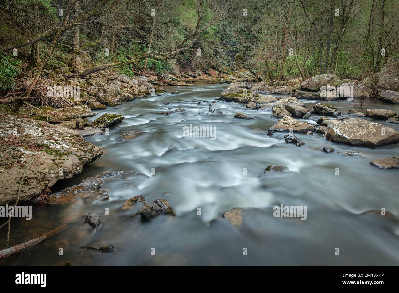 Das Wasser, das durch einen felsigen Fluss im Cumberland Mountain Tennessee fließt, zeigt den friedlichen, surrealen Ton der Wildnis. Stockfoto