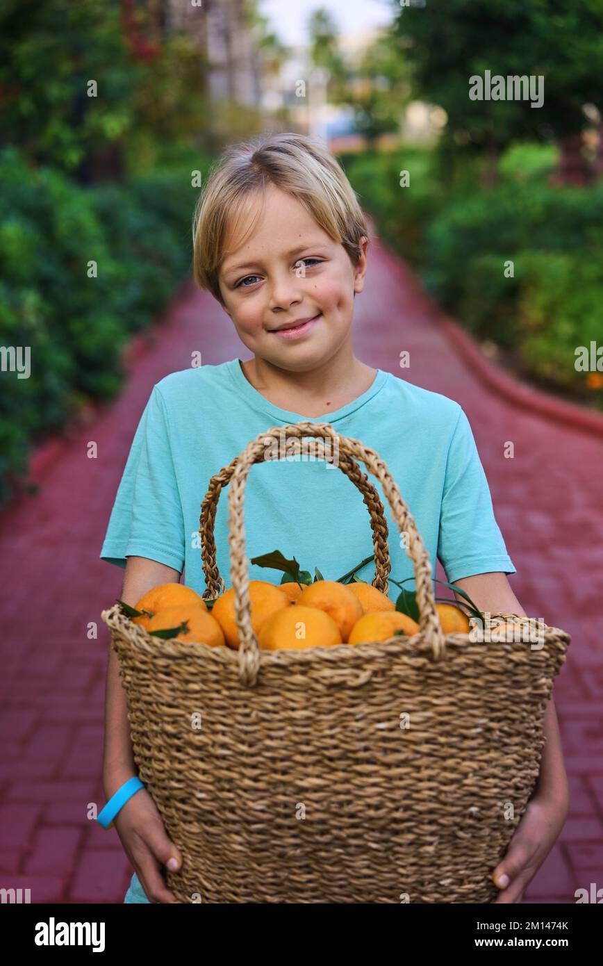 Süßer Weidenkorb mit frischen Orangenfrüchten Stockfoto