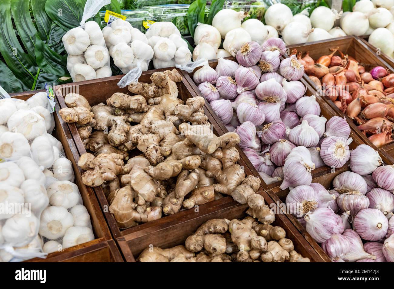 Australischer Supermarkt mit Ingwer, Knoblauch und Schalotten Zwiebeln, die in frischen Lebensmitteln zum Verkauf angeboten werden, NSW, Australien Stockfoto