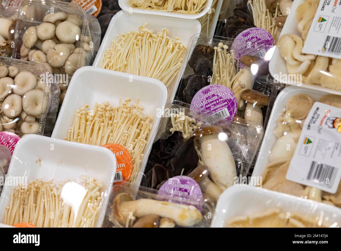 Australische Enoki-Pilze, verpackt und zum Verkauf in einem Supermarkt in Sydney, NSW, Australien, verpackt Stockfoto