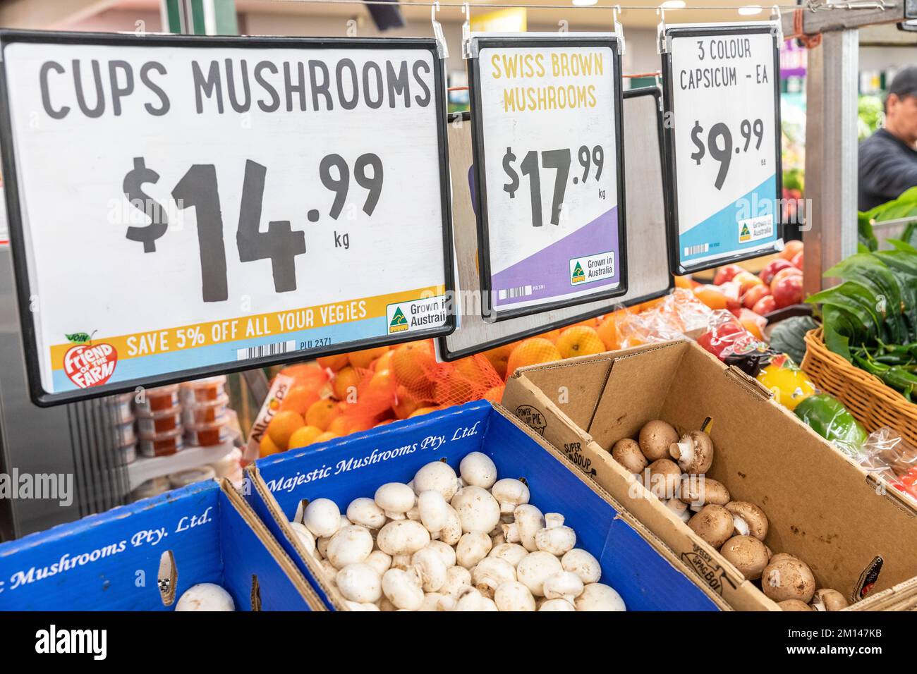 Pilzbecher, schweizer Braunpilze und Capsicum zum Verkauf in einem australischen Supermarkt, 2022 Stockfoto