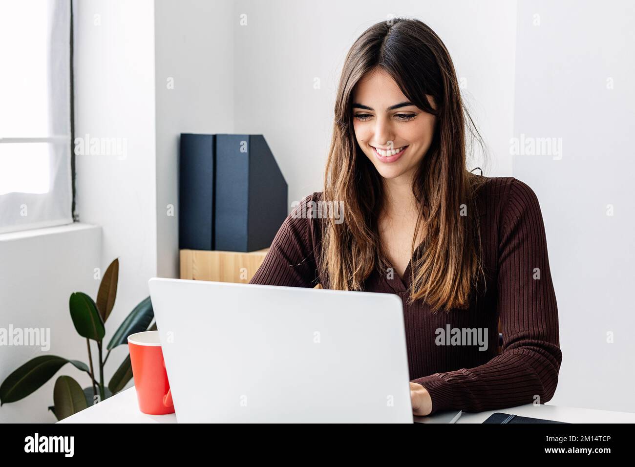 Porträt einer jungen, erwachsenen Geschäftsfrau, die im Büro an einem Laptop arbeitet Stockfoto