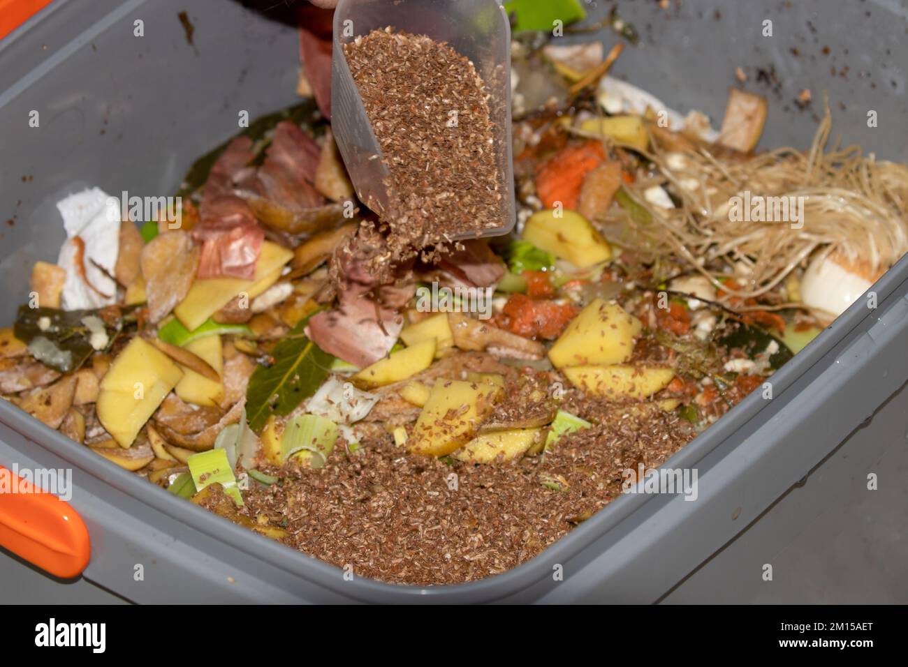 Bokashi-Fermentierungs- und Kompostiermethode. Kompostierung in der Küche mit EM-wirksamen Mikroorganismen, die auf der Weizenkleie imprägniert sind, um sie zu fermentieren Stockfoto