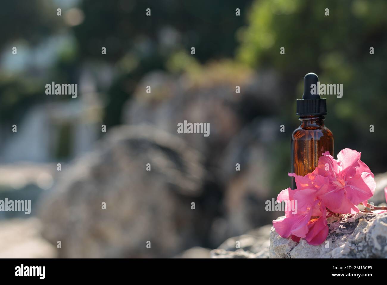 Freier Produktspeicher, Modell. Bach-Blumenmittel - Alternative oder komplementärmedizinische Behandlung Stockfoto