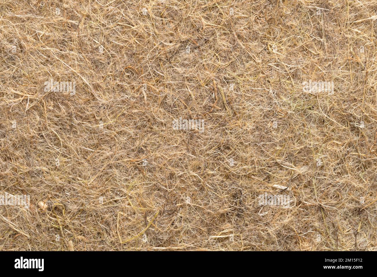 Hanfbaummatte, Oberfläche und Hintergrund, Nahaufnahme, von oben. Wachstumsmedium, hergestellt aus industriellen und natürlichen Hanffasern. Stockfoto