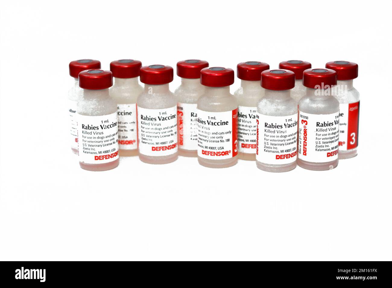 Kairo, Ägypten, Dezember 8 2022: Rabis Impfstoff Kilted Virus for use of dogs and cats defensor 3 Zoetis USA, hergestellt aus Zellkulturen, chemisch- Stockfoto