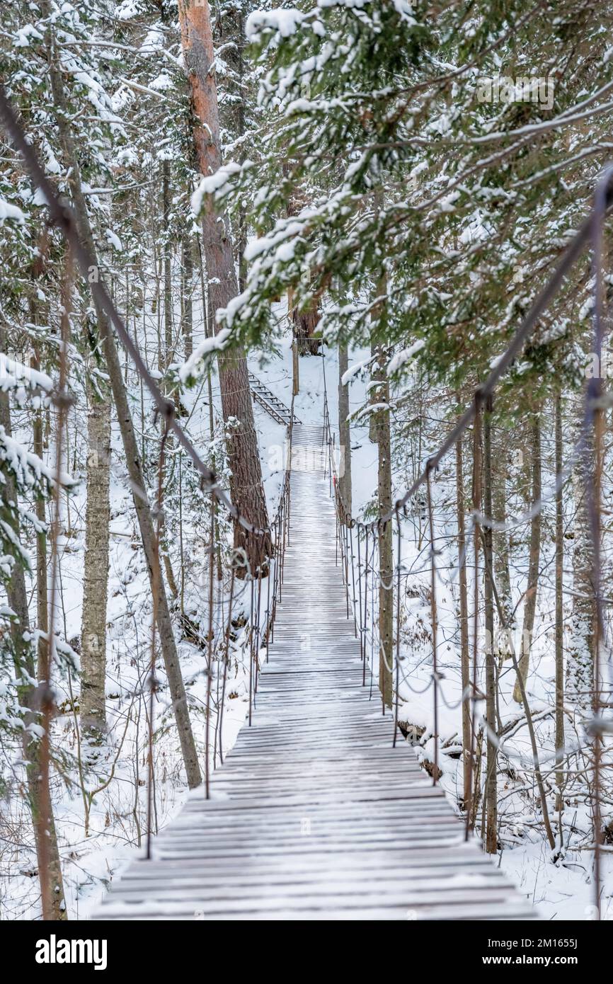 Wunderschöne, an einem Seil hängende Holzbrücke. Winterlandschaft, schneebedeckter Wald. Perspektive, Symmetrie Stockfoto