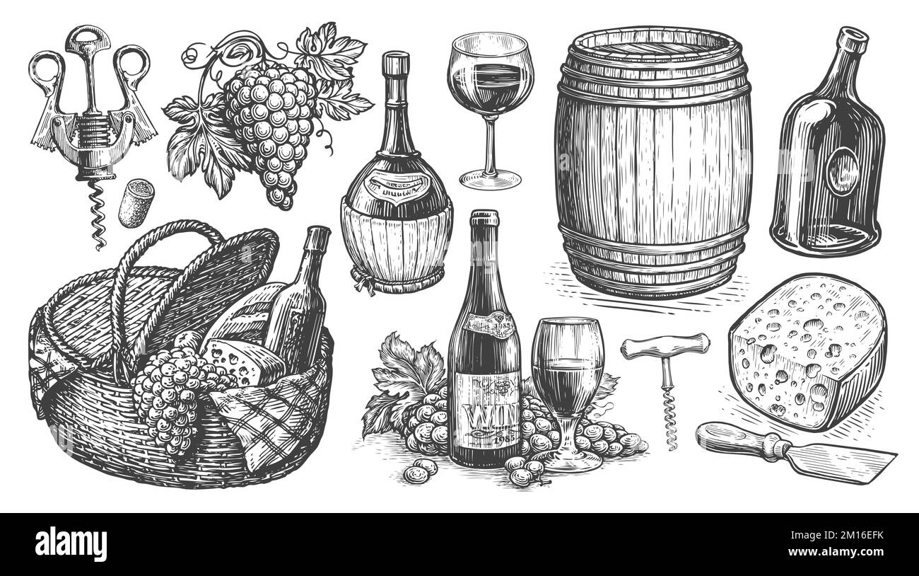 Weinkonzept. Vintage-Illustration. Weinbau-Set. Sammlung handgezeichneter Skizzen für die Speisekarte des Restaurants Stockfoto