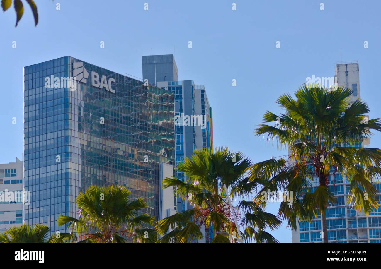 bankgebäude in panama-Stadt, Palmen vor dem Hotel Stockfoto