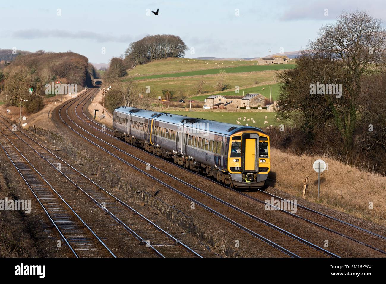 Ein Sprinter-Passagierzug verlässt die Settle-Carlisle-Bahnlinie an Settle Junction und fährt nach Leeds. Stockfoto