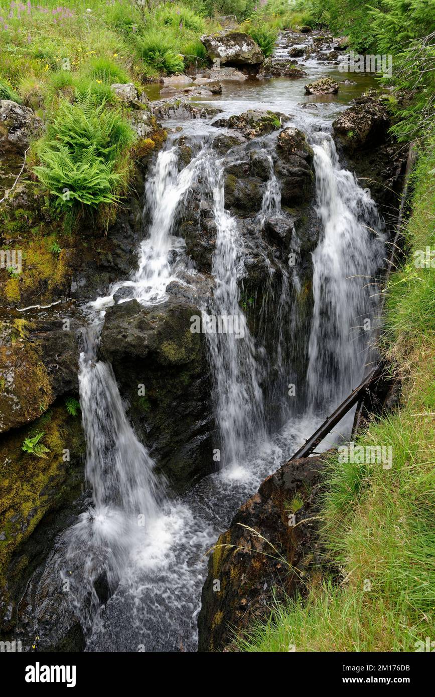 Severn-Break-its-Neck Wasserfall am Fluss Severn in Hafren Forest in der Nähe von Llanidloes, Powys, Central Wales, Großbritannien Stockfoto