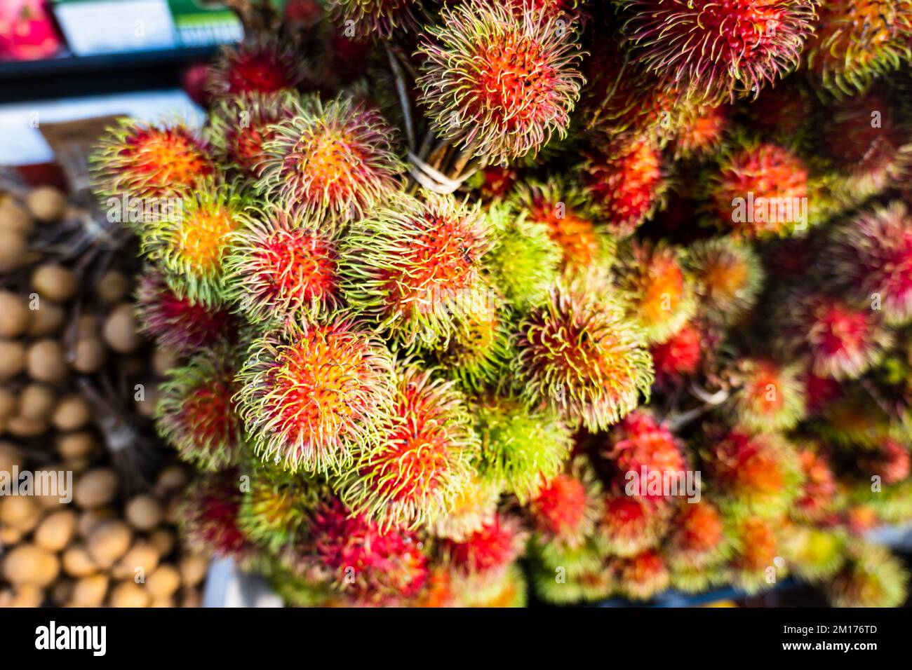 Rambutan auf dem Bio-Obstmarkt in Indonesien. Nahaufnahme von Rambutanfrüchten (wissenschaftlicher Name: Nephelium lappaceum) Stockfoto
