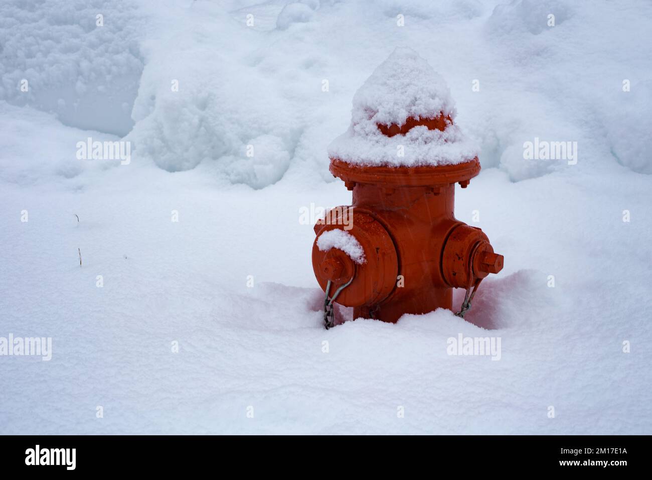 Ein roter, schneebedeckter Hydrant in Troja, Montana. Stockfoto