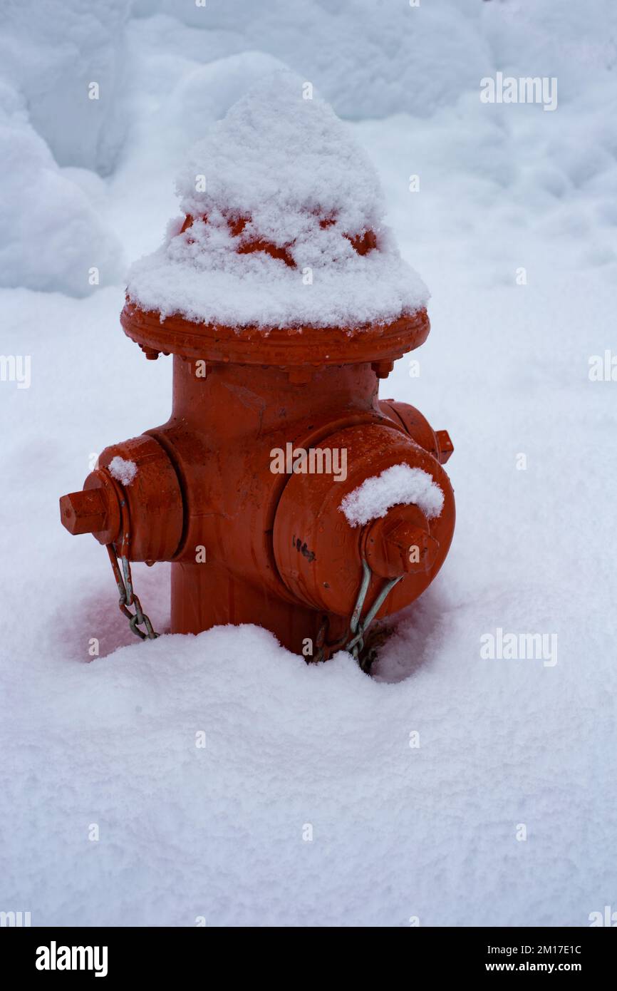 Ein roter, schneebedeckter Hydrant in Troja, Montana. Stockfoto