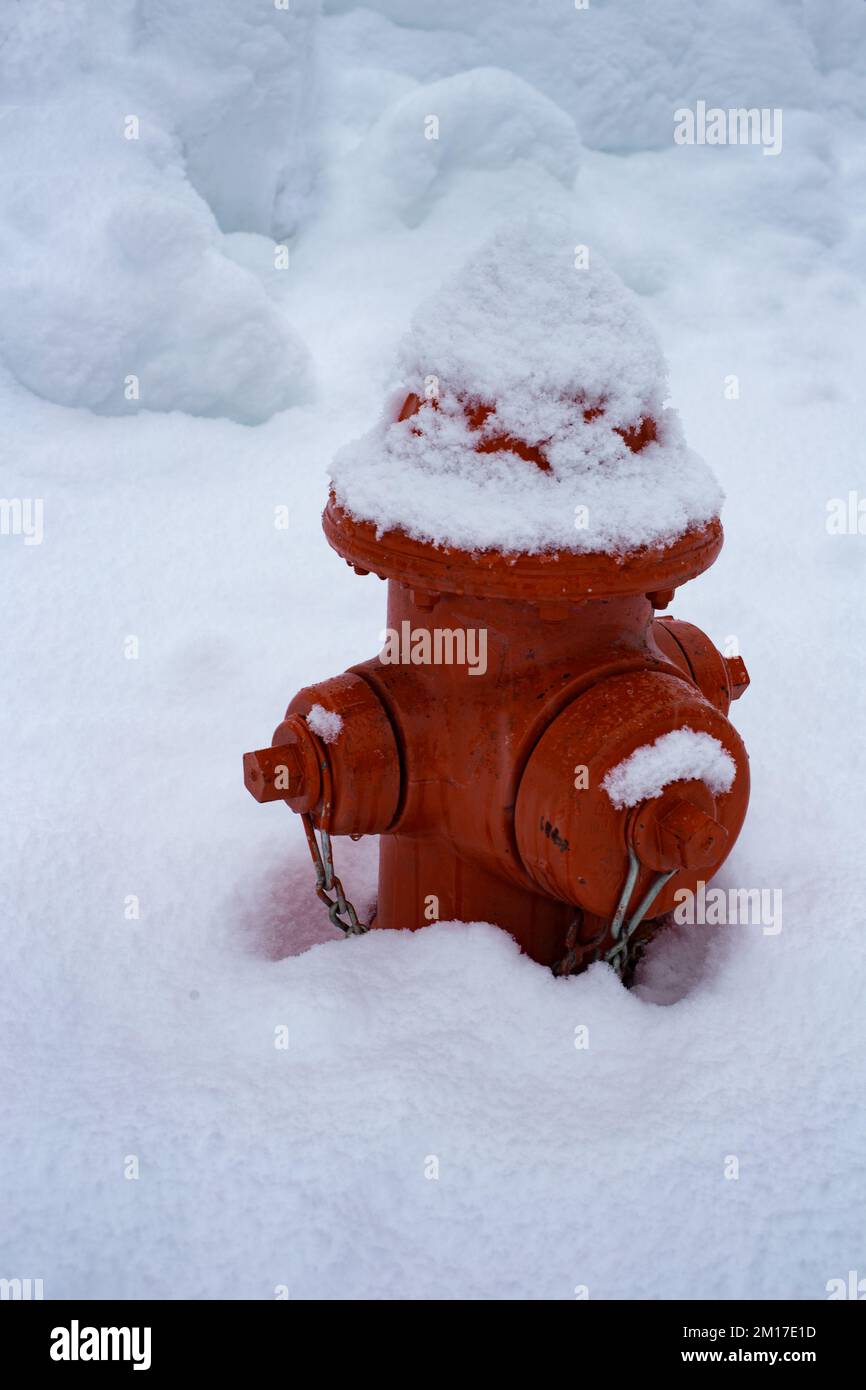 Ein roter, schneebedeckter Hydrant in Troja, Montana. Stockfoto