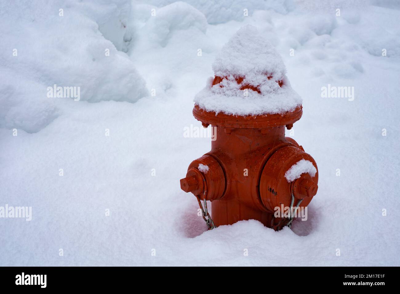 Ein roter, schneebedeckter Hydrant in Troja, Montana. Stockfoto