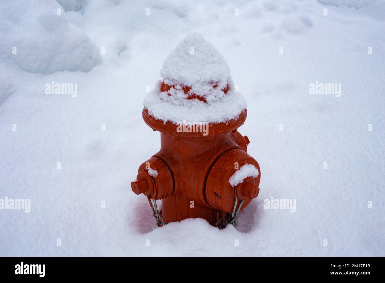 Ein roter, schneebedeckter Hydrant in Troja, Montana. Stockfoto