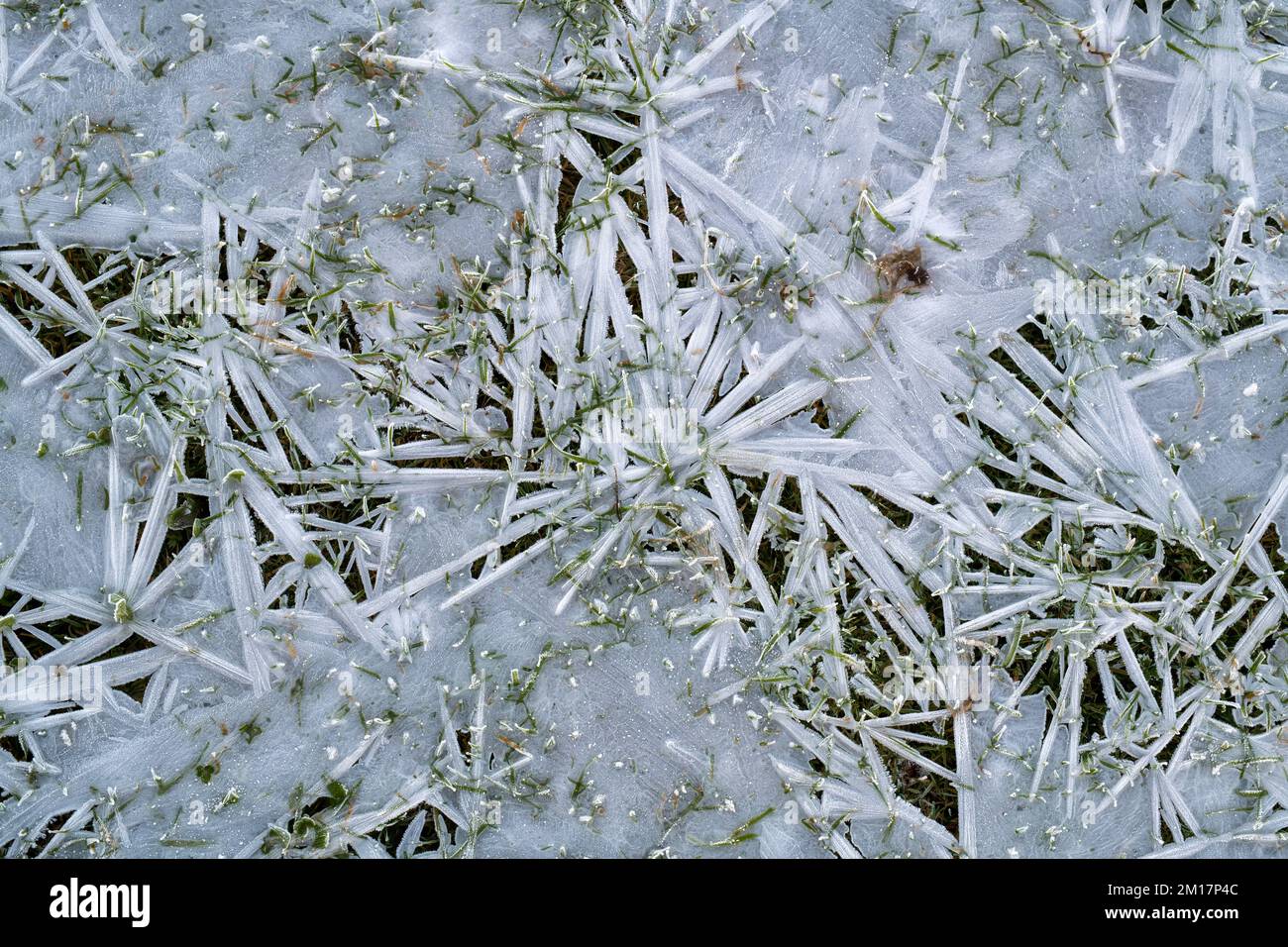 Eis- und Grasmuster. Cotswolds, Glouchestershire, England Stockfoto