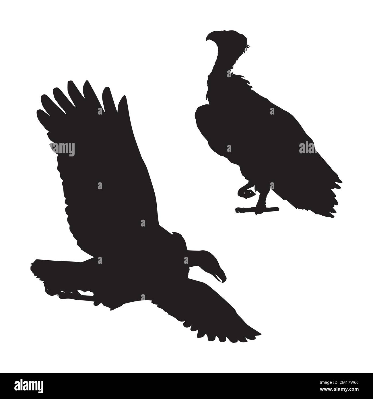 Vektordarstellung der Geier-Silhouette Stock Vektor