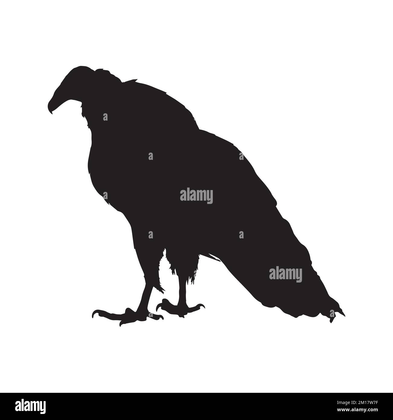 Vektordarstellung der Geier-Silhouette Stock Vektor