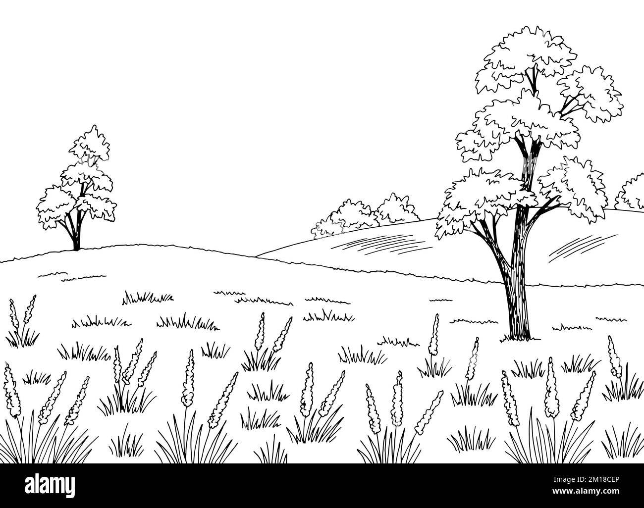 Meadow Graphic Schwarzweiß Querformat Skizziervektor Stock Vektor