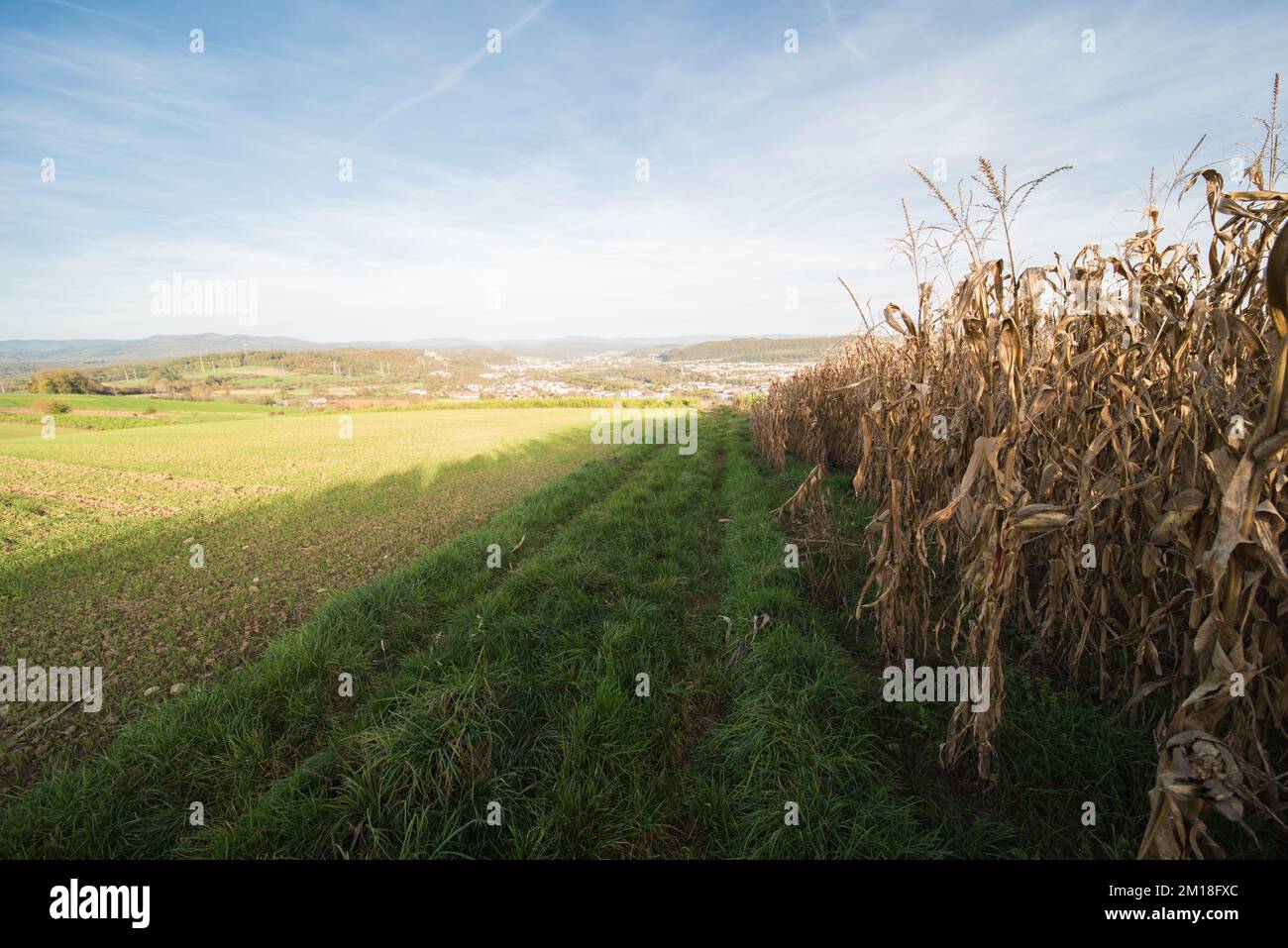 Wunderschöne Herbstlandschaft im Südwesten deutschlands. Stockfoto