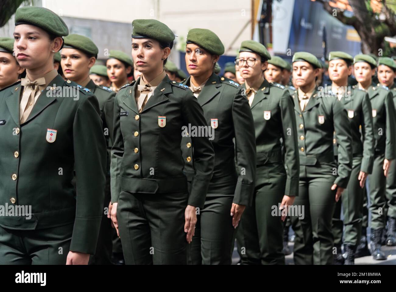 Die Soldaten der brasilianischen Armee, die auf dem brasilianischen Unabhängigkeitstag in Salvador, Brasilien, demonstrieren. Stockfoto