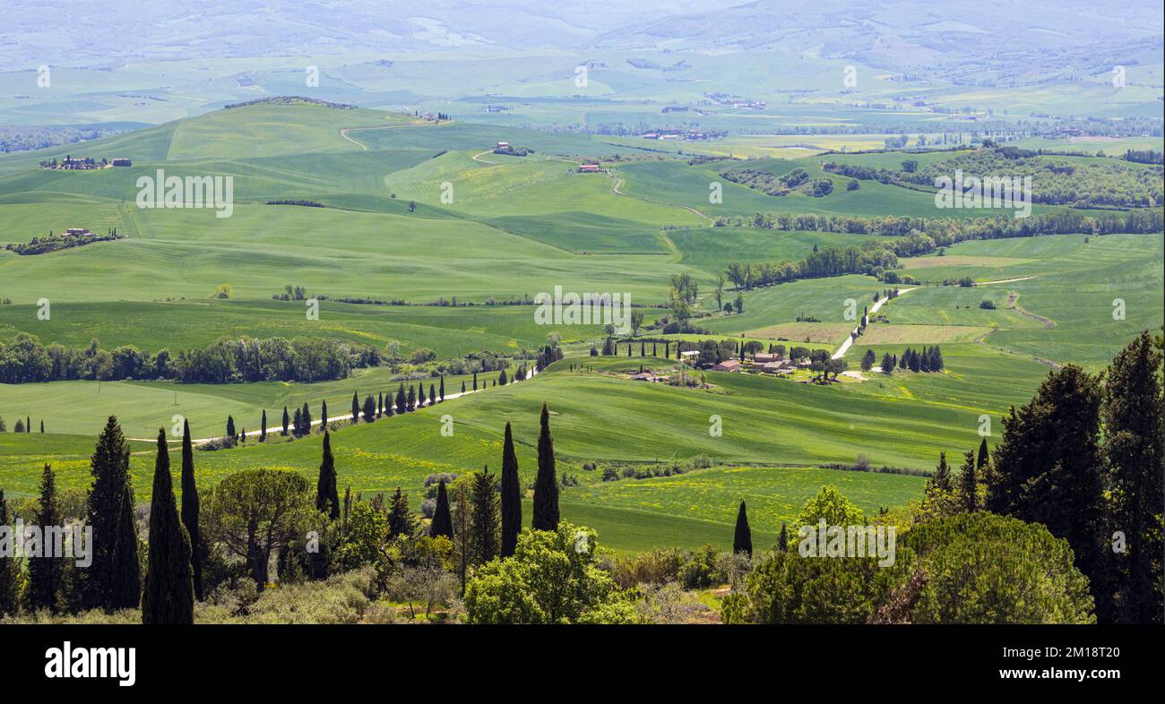 Pienza, Provinz Siena, Toskana, Italien. Blick auf das Val d'Orcia oder das Orcia-Tal von Pienza aus. Das Val d'Orcia ist ein UNESCO-Weltkulturerbe Stockfoto